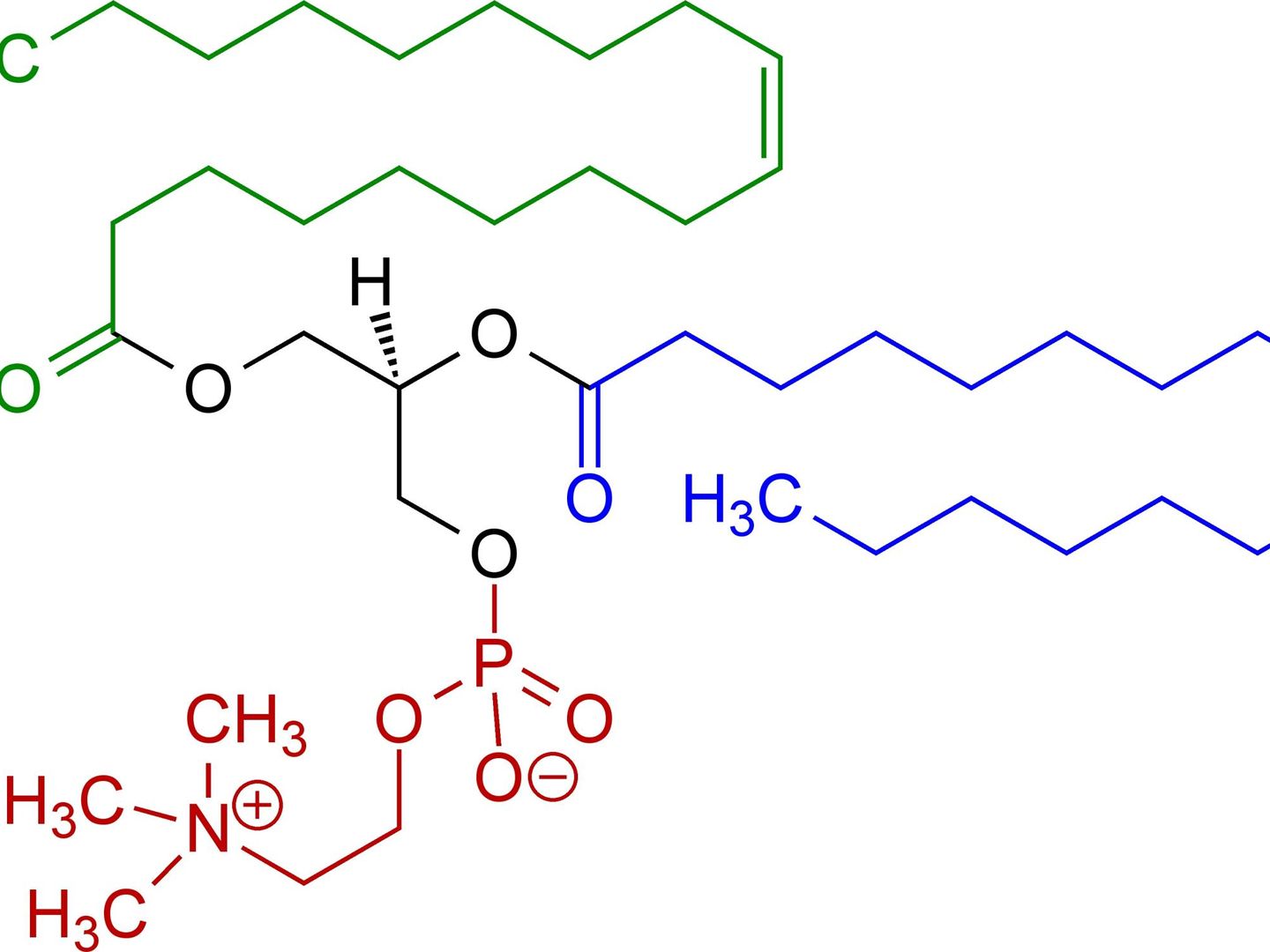 Estructura molecular de la lecitina.