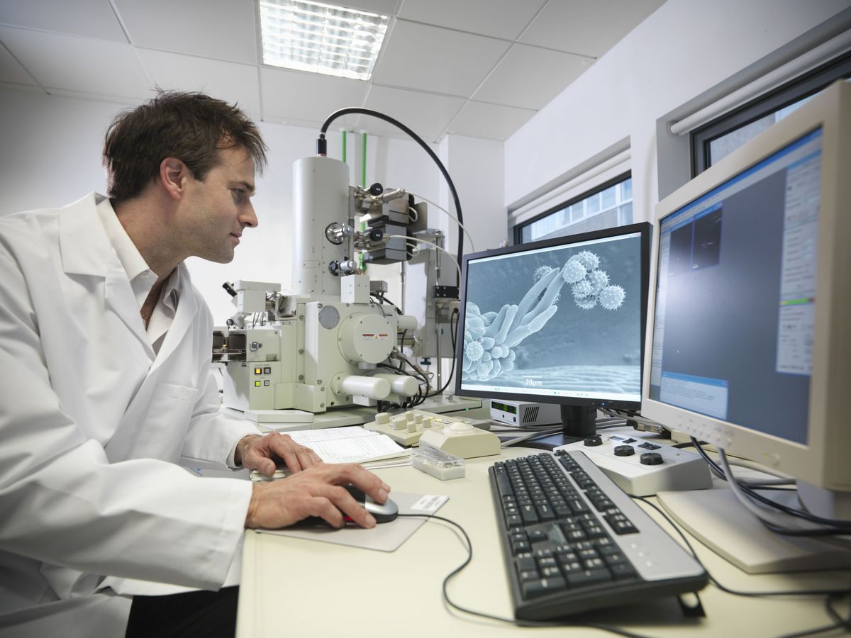 Foto: Investigador trabajando ante células cancerosas. Foto: EFE BAYER 