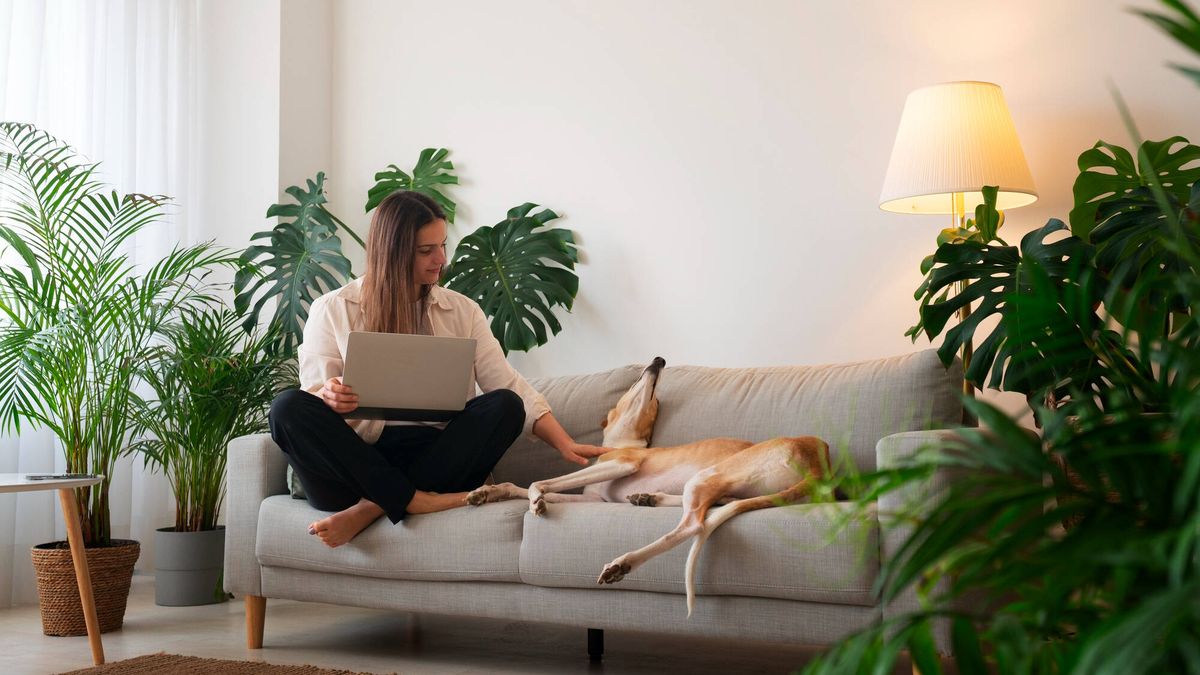 Lo más vendido en Amazon esta semana: los productos favoritos de los usuarios