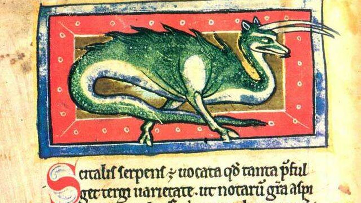 Representación de una serpiente en un bestiario medieval.