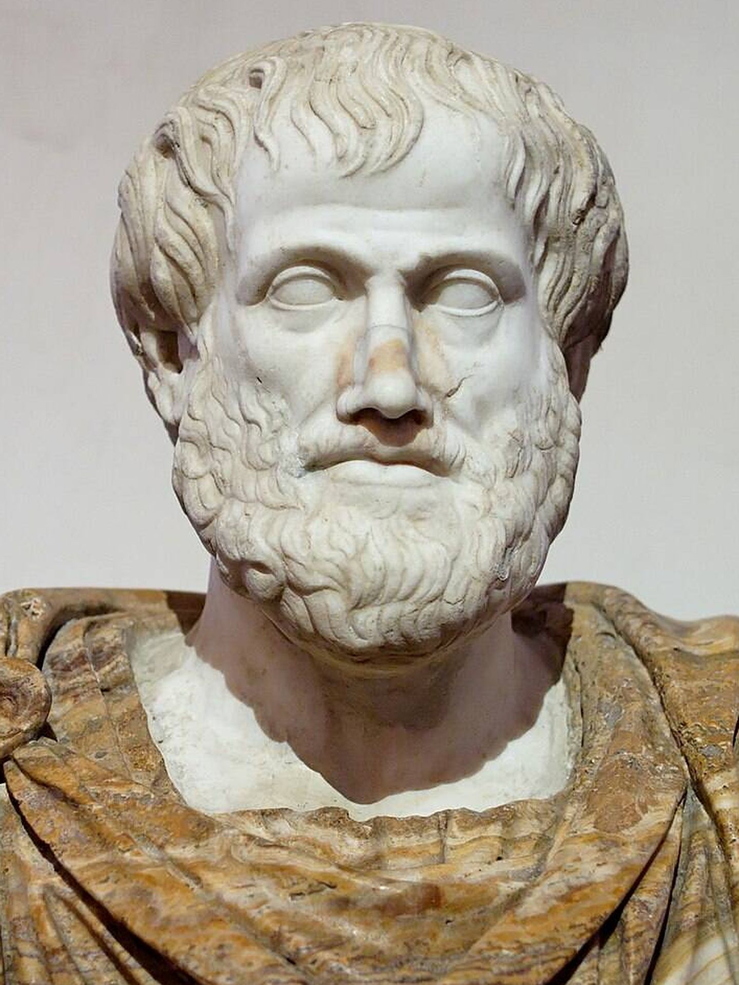 Busto de Aristóteles que se halla en el Palacio Altemps, Roma. (Creative Commons)
