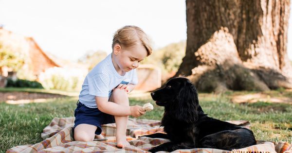 Foto: El príncipe George con su mascota Lupo, en una imagen de archivo. (Reuters)