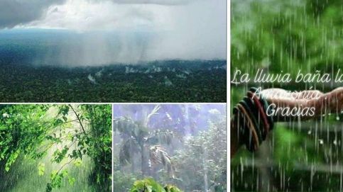 ¿Llueve en el Amazonas? De un fuerte deseo a una noticia falsa sobre los incendios