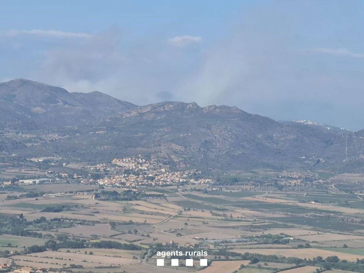 Foto: El incendio de Portbou (Girona). (Europa Press/Agents Rurals)