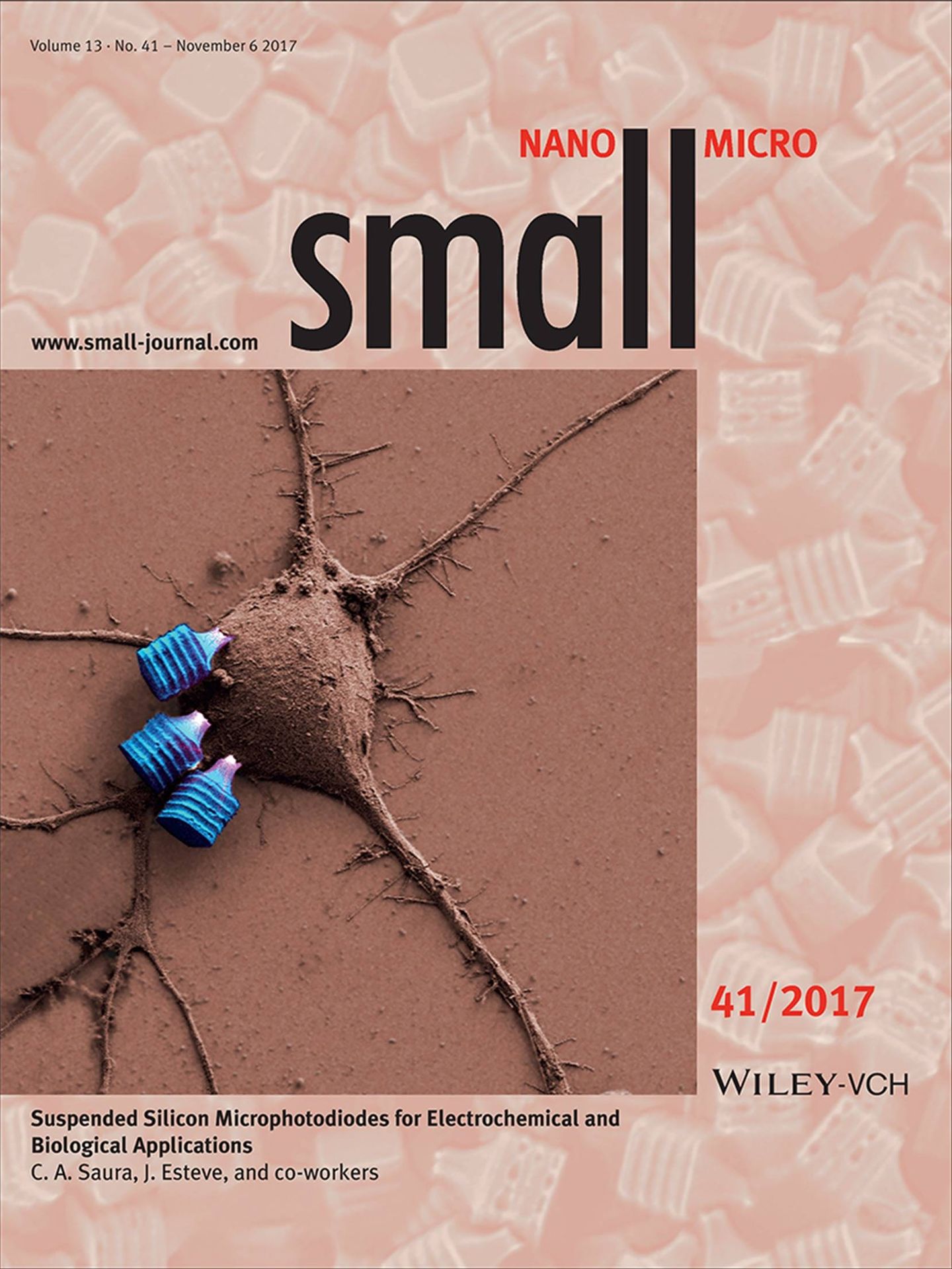 Ilustración de la revista científica Small Journal sobre el trabajo de Murillo