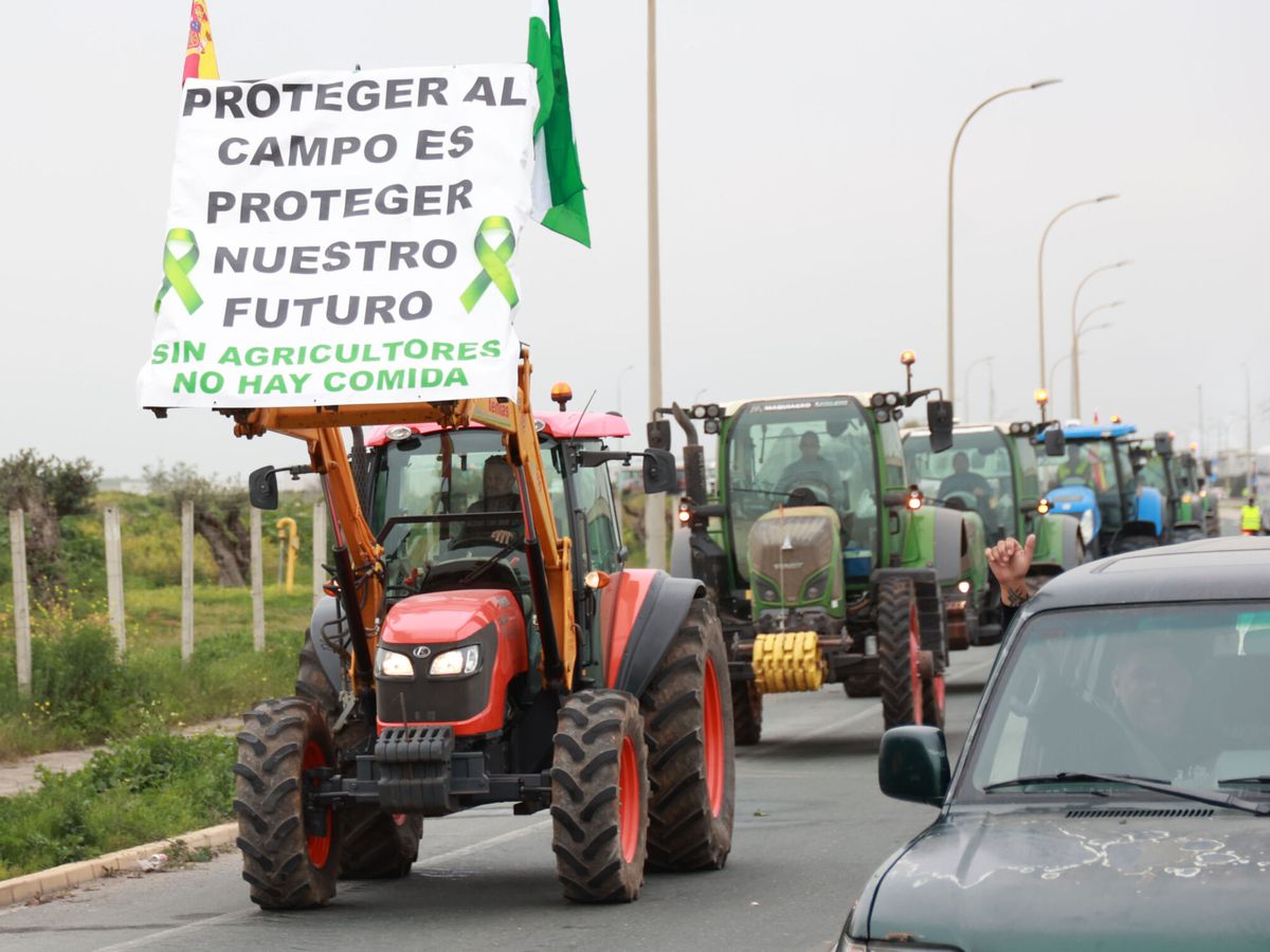 Foto: Protestas protagonizadas por agricultores en Sevilla. (EP/Rocío Ruz)
