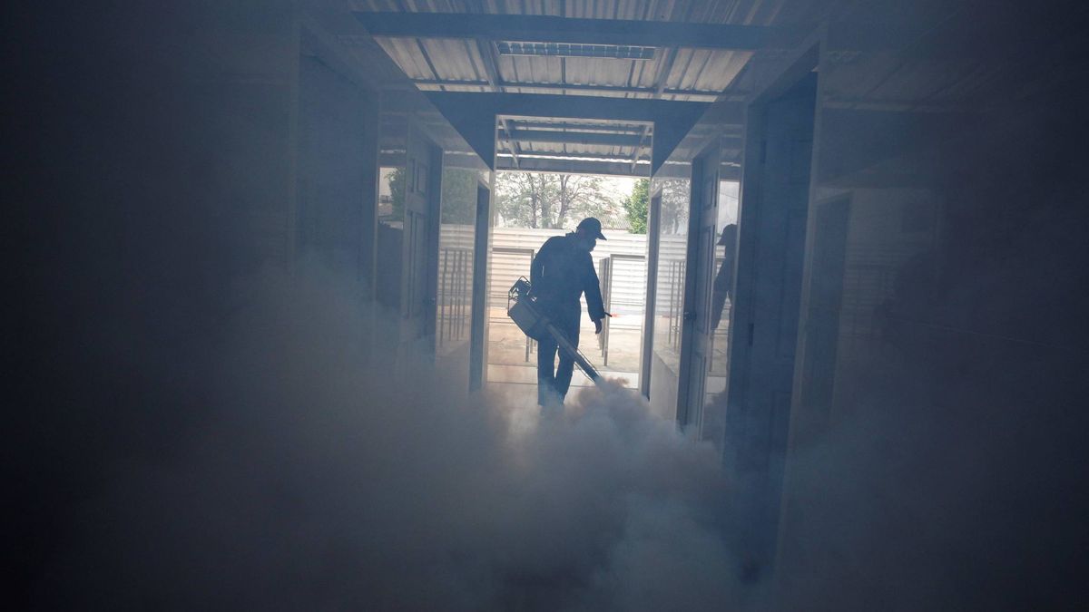 Sanidad: los casos de Chikungunya de islandeses en Alicante son falsos positivos
