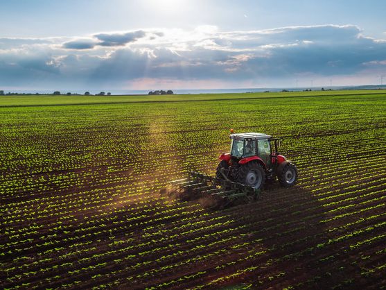 Explotación Agrícola en La Roda