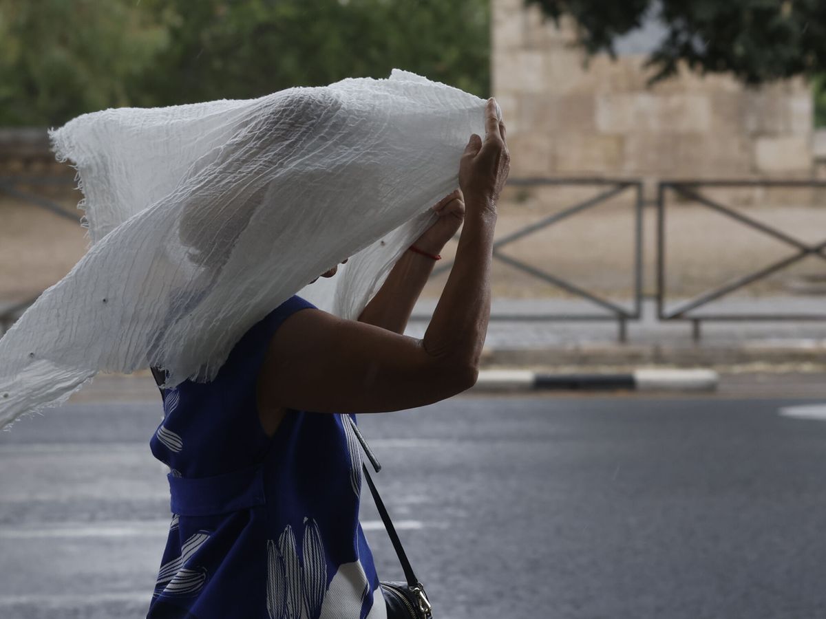 Foto: Una mujer se protege de la lluvia en Valencia en esta imagen de archivo. (EFE/Kai Försterling)