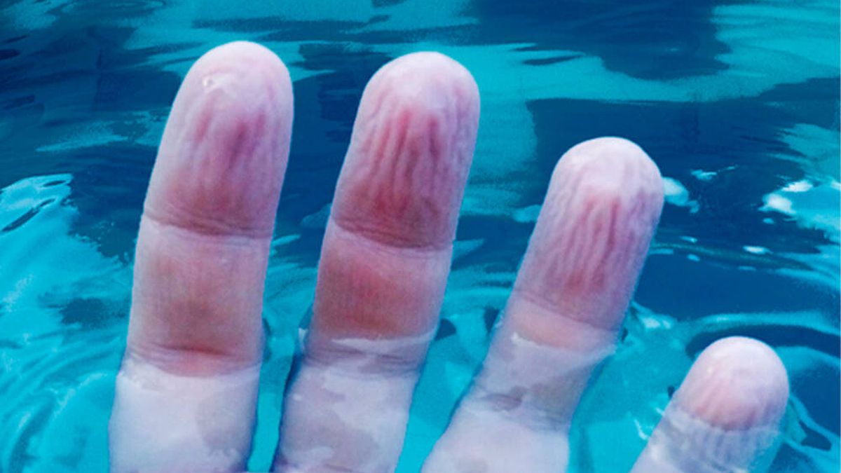 ¿Por qué se arrugan los dedos debajo del agua? Este es el motivo