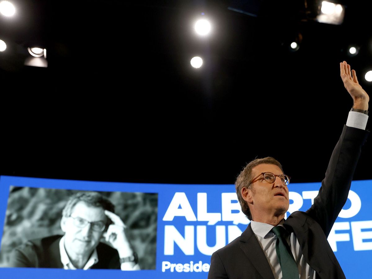 Foto: El líder del PP, Alberto Núñez Feijóo. (EFE/Julio Muñoz)