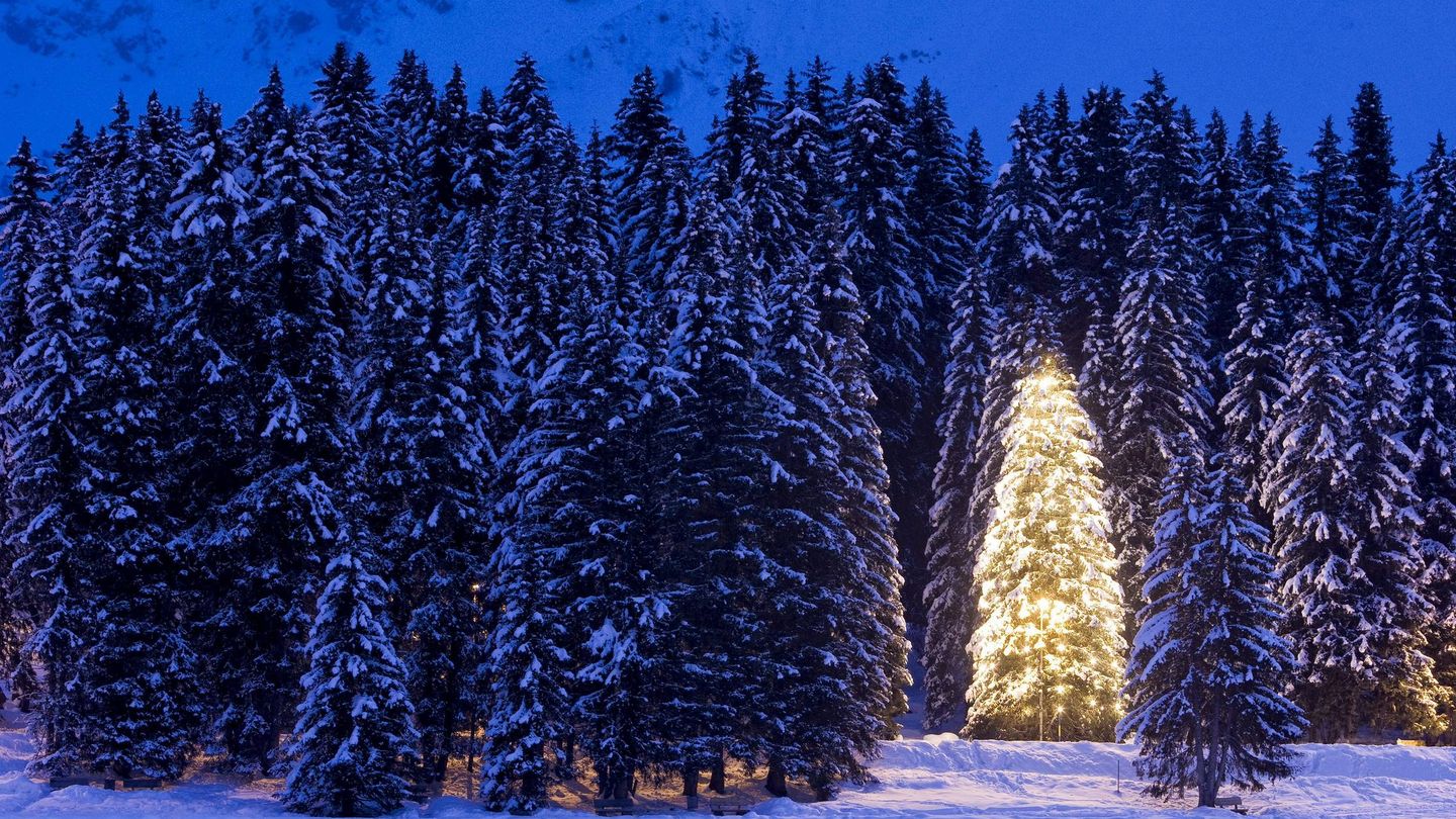 Un árbol decorado de Navidad en una localidad suiza. (EFE/A. Della Bella)