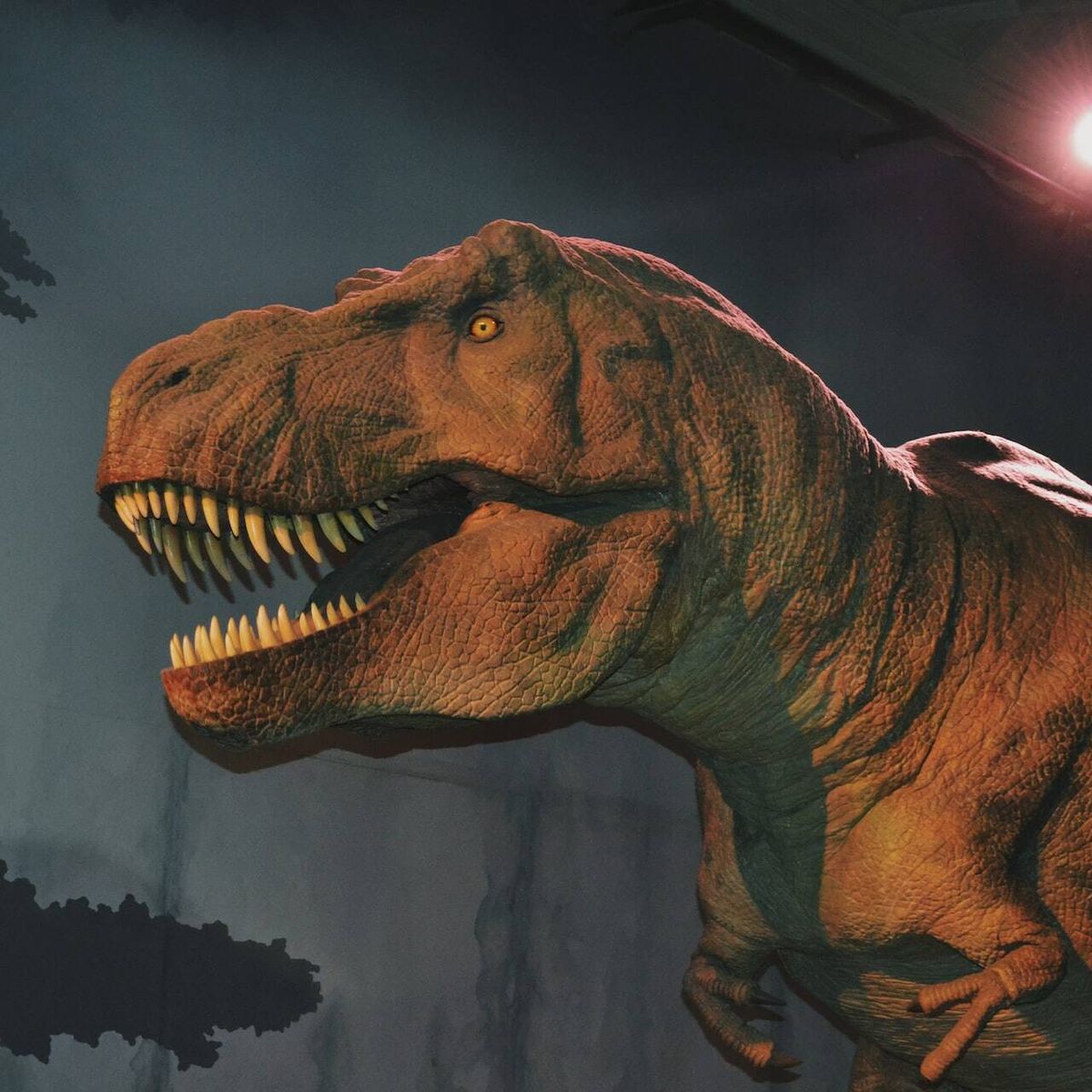 Un estudio descubre que los 'Tyrannosaurus rex' eran más inteligentes de lo  que creíamos