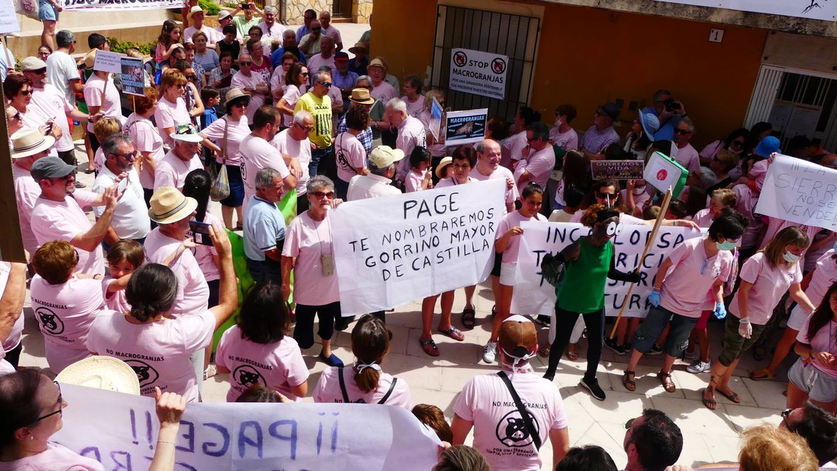 Revuelta rural contra el 'Silicon Valley de los cerdos' en Castilla-La Mancha