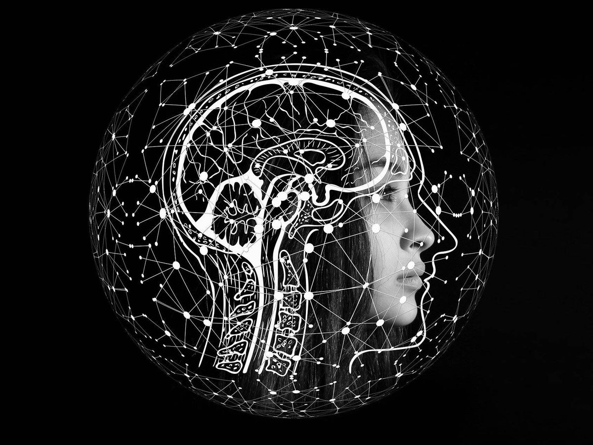 Foto: La inteligencia artificial puede predecir enfermedades cerebrales. Foto: Pixabay