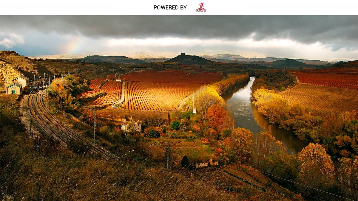 Cinco planes para descubrir los vinos Rioja y su gastronomía