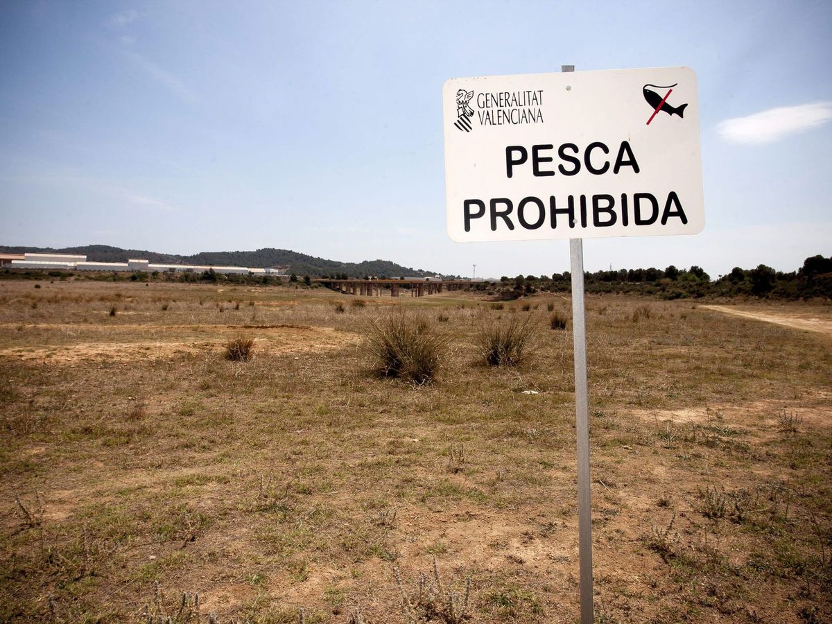 Foto: La sequía se está cronificando en España. (EFE)
