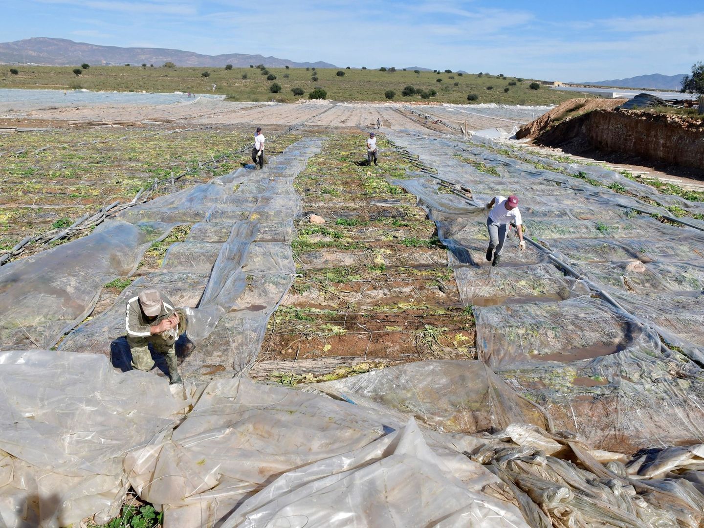 Varios trabajadores retiran restos de un invernadero en Níjar. (EFE/Carlos Barba)