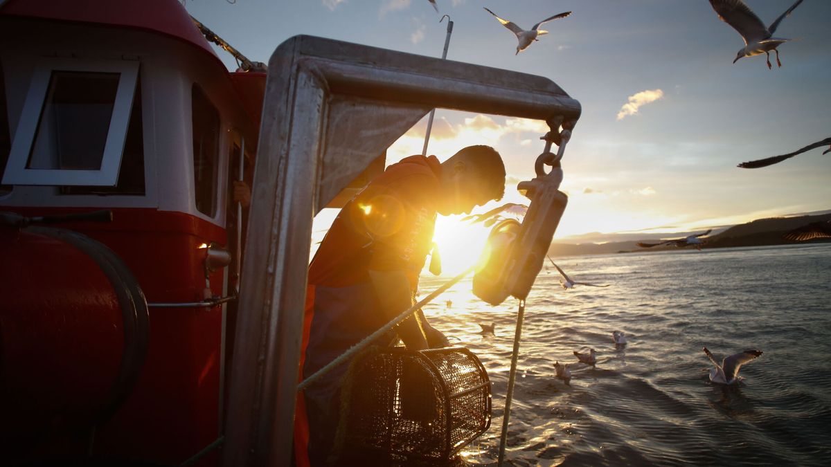 Rescatada la tripulación de un pesquero hundido en Malvinas con marineros gallegos a bordo
