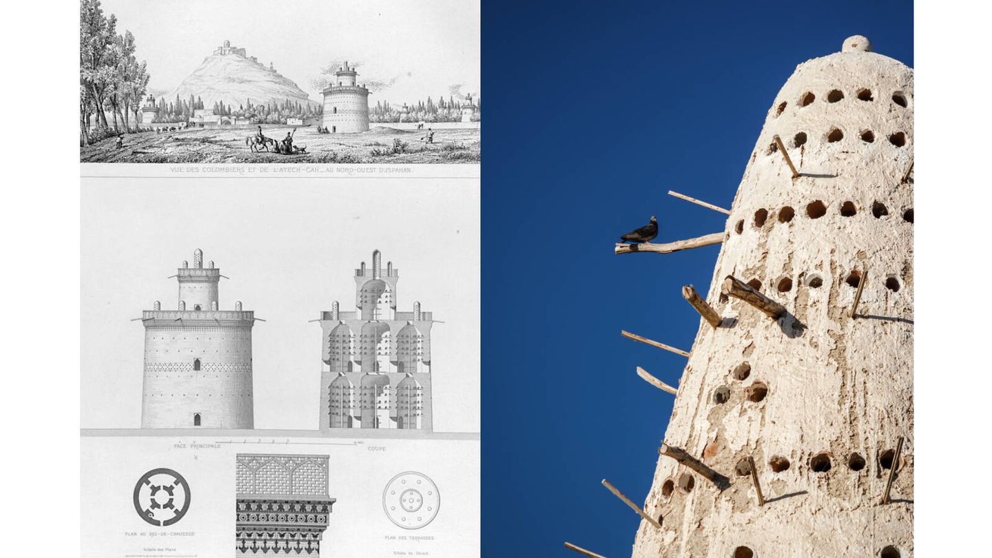 Detalles de los planos de construcción de un palomar en Isfahan en el siglo XIX. / Palomas en un palomar en la actualidad. (Wikimedia / iStock)
