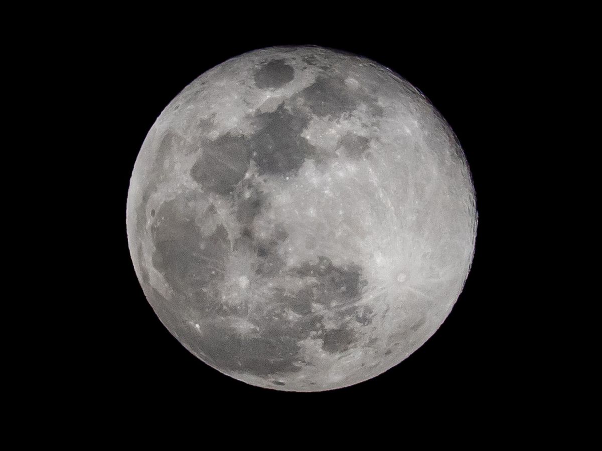Foto: Luna del lobo en enero de 2024: cuándo es y qué significa. (EFE / Miguel Gutiérrez)