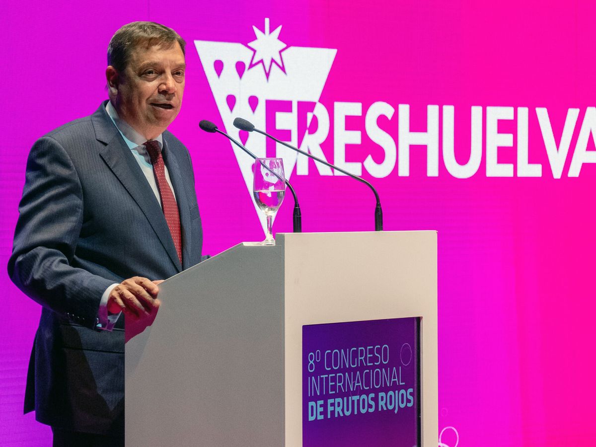Foto: Luis Planas, ministro de Agricultura, Pesca y Alimentación. (EFE/Julián Pérez)