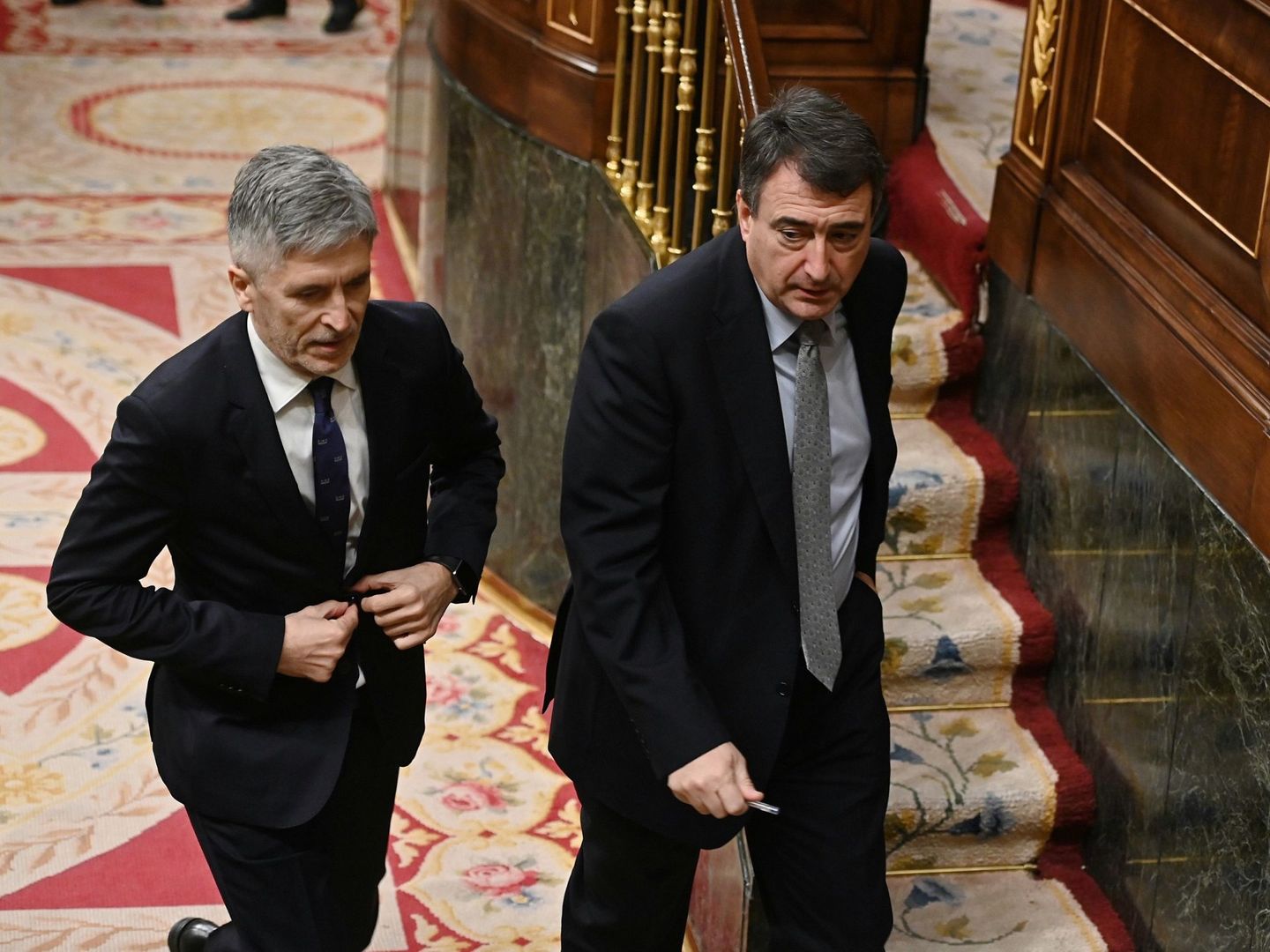 El ministro del Interior, Fernando Grande-Marlaska (i), y el portavoz del PNV, Aitor Esteban. (EFE) 