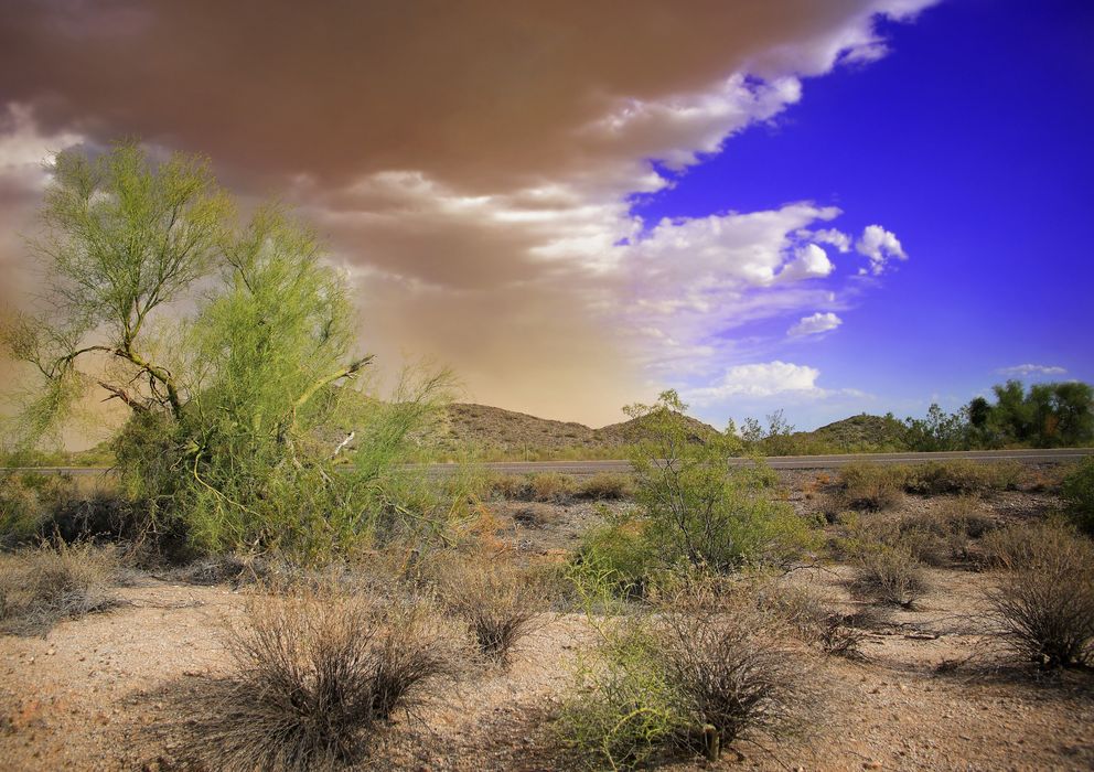 Foto: Inicio de una tormenta de polvo en Arizona, un fenómeno meteorológico que ayuda a expandir las esporas de Coccidioides. (Corbis)