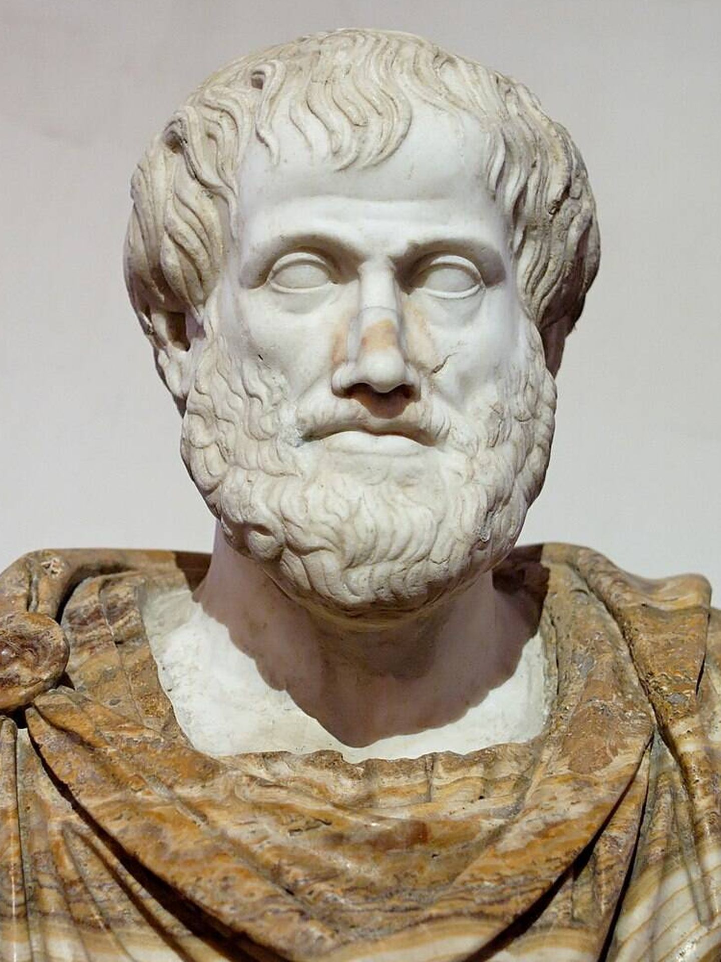 Busto de Aristóteles en el Palacio Altemps, en Roma (Creative Commons).