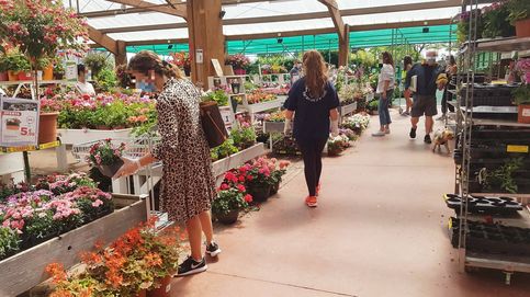 La competencia desleal de Verdecora: ignora el estado de alarma y vende flores y macetas