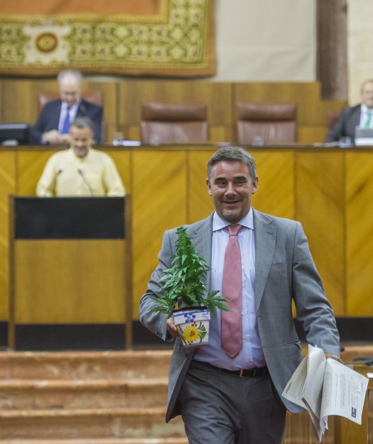 Foto: El diputado de Podemos en Andalucía Juan Ignacio Moreno Yagüe porta una maceta de cannabis antes de defender en el estrado su uso terapéutico. (EFE)