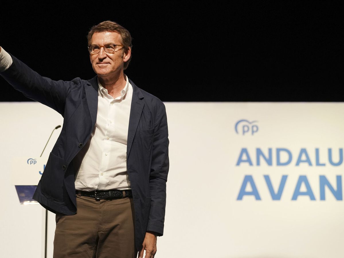 Foto: El presidente del Partido Popular, Alberto Núñez Feijóo. (EFE/David Mudarra)