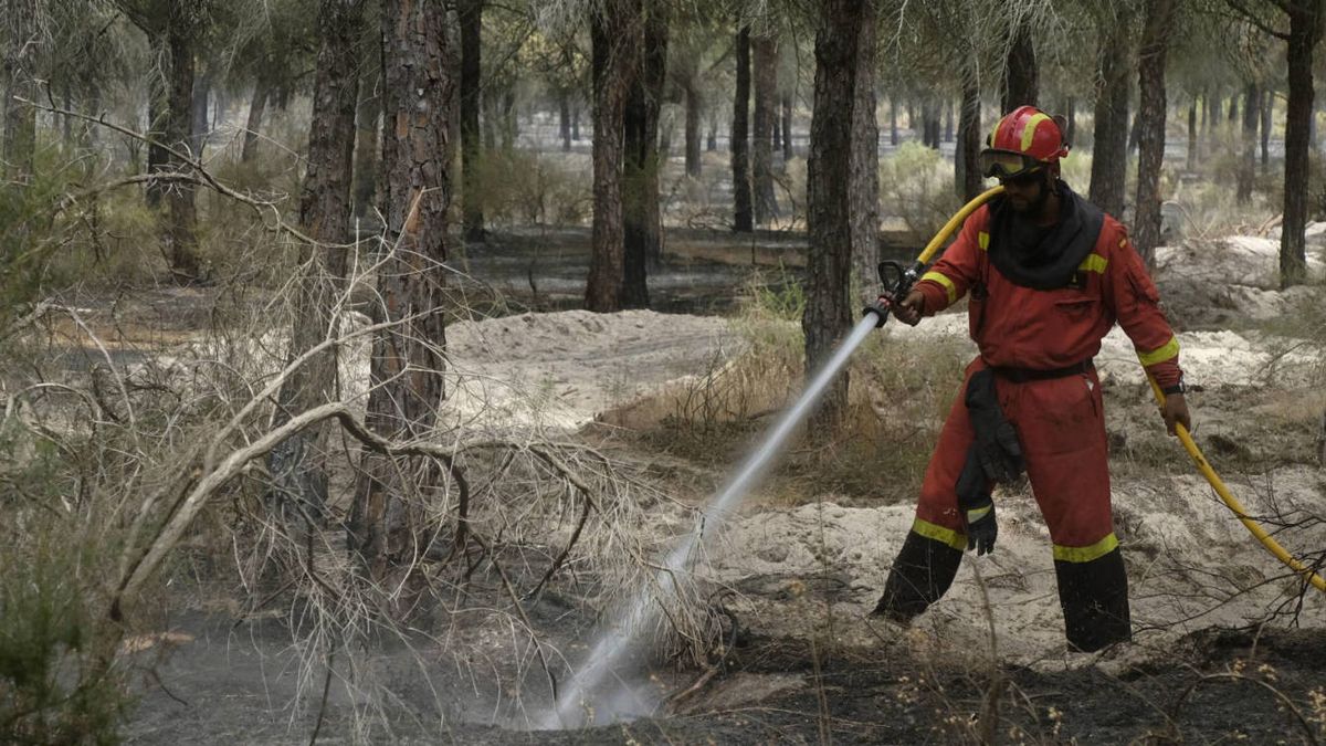El incendio de Doñana ha quemado 8.486 hectáreas de matorral y arbolado