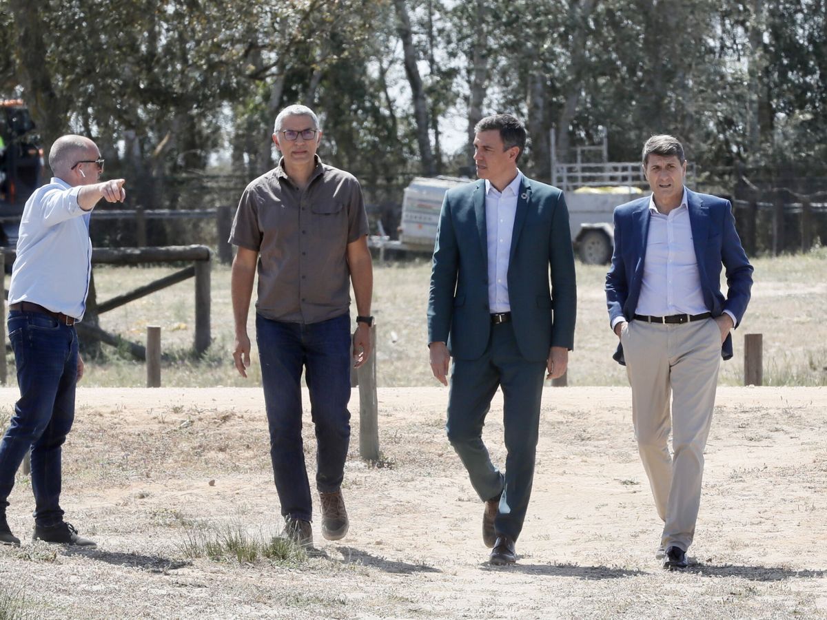 Foto: El presidente del Gobierno, Pedro Sánchez, en una visita al Parque Nacional de Doñana. (EFE/José Manuel Vidal)