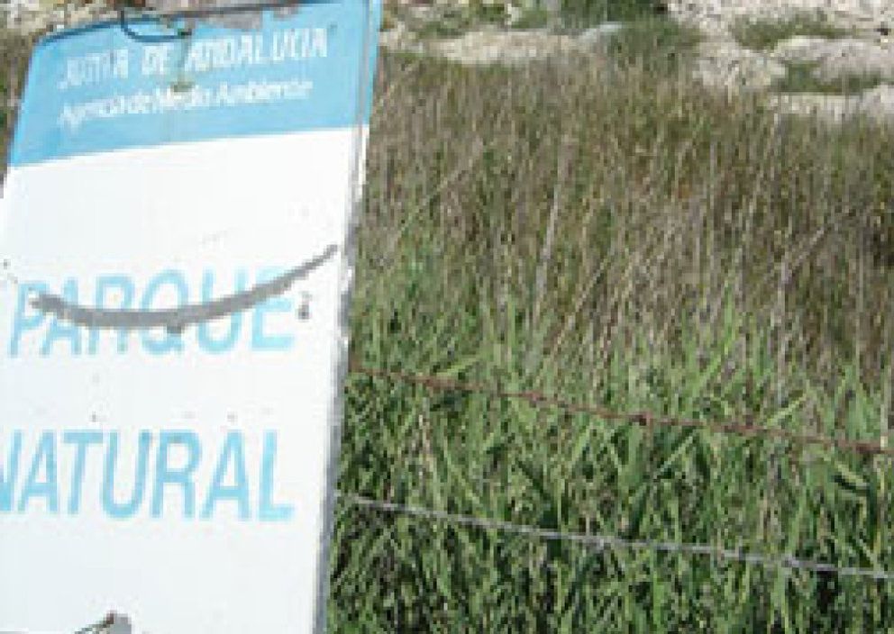 Foto: La organización Ecologistas en Acción denuncia el riesgo que supone la existencia de dos vertederos ilegales en el entorno del emblemático paraje.