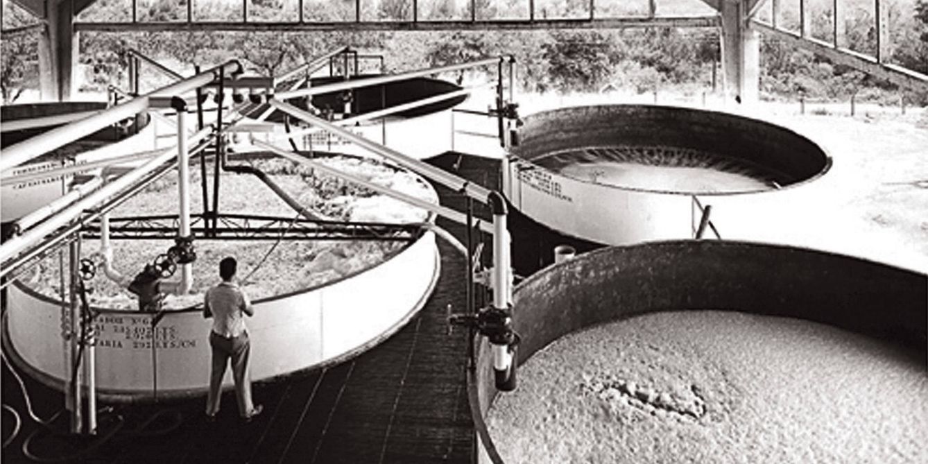 Tanques de fermentación en la destilería de Bacardí en México. 