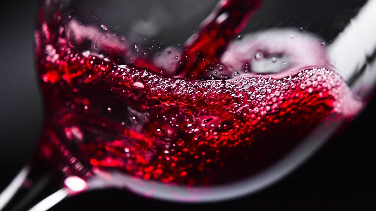 Los cinco mejores vinos tintos del supermercado, según la OCU