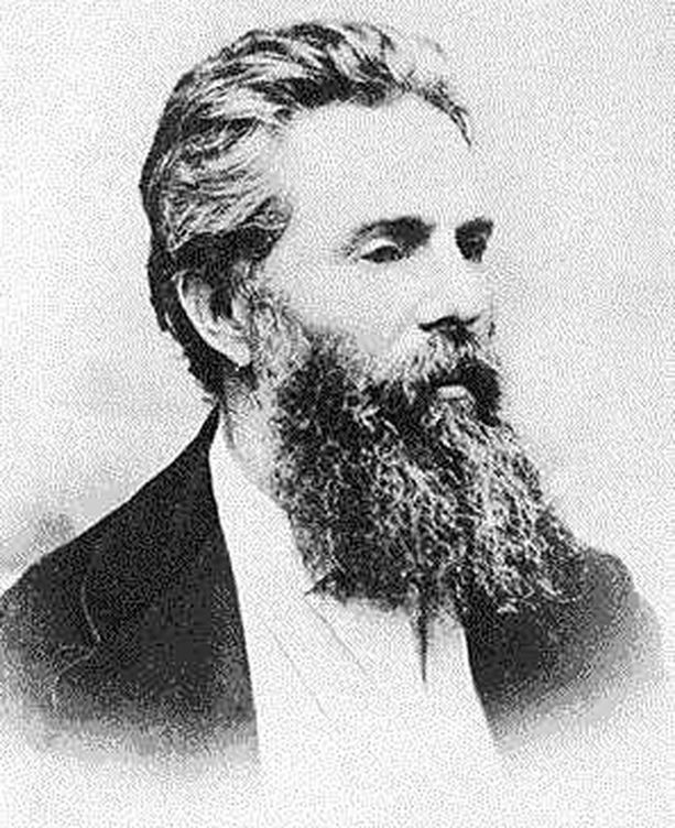Retrato de Herman Melville en 1868
