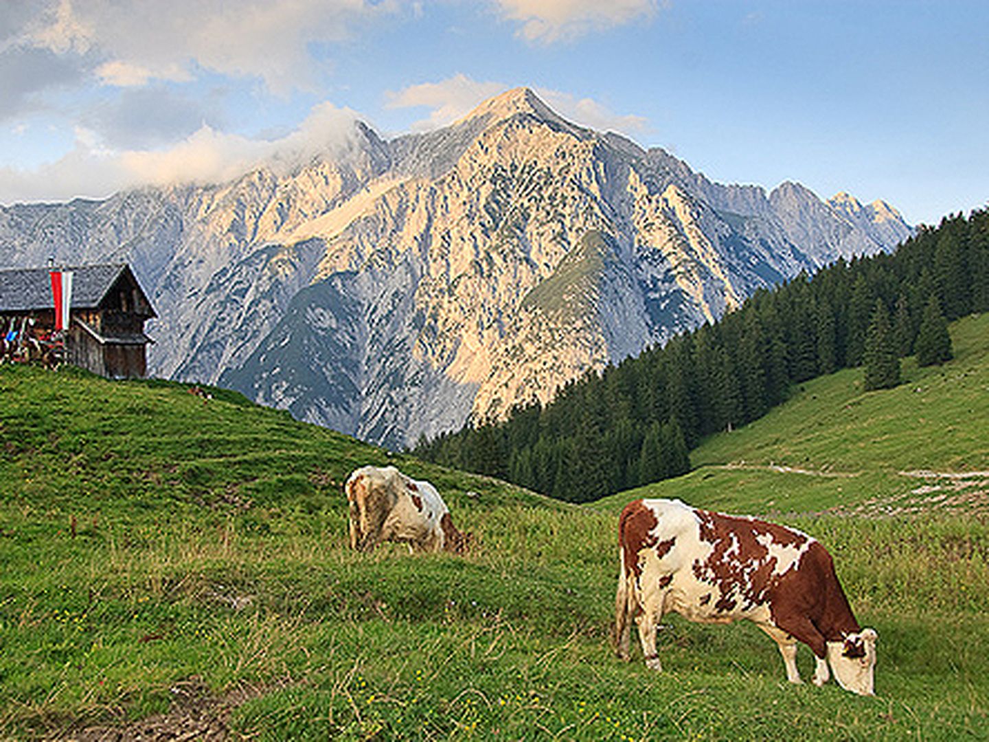 La granja de los Alpes donde nació playence en 2009