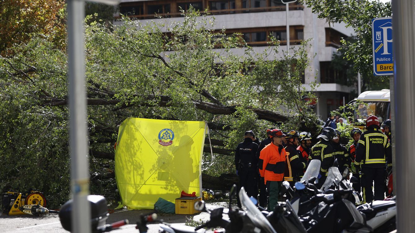Muere una joven en el centro de Madrid tras la caída de un árbol por la borrasca Ciarán
