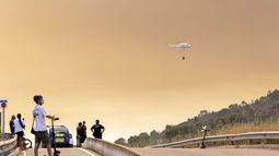 El cambio climático no es el que quema el monte