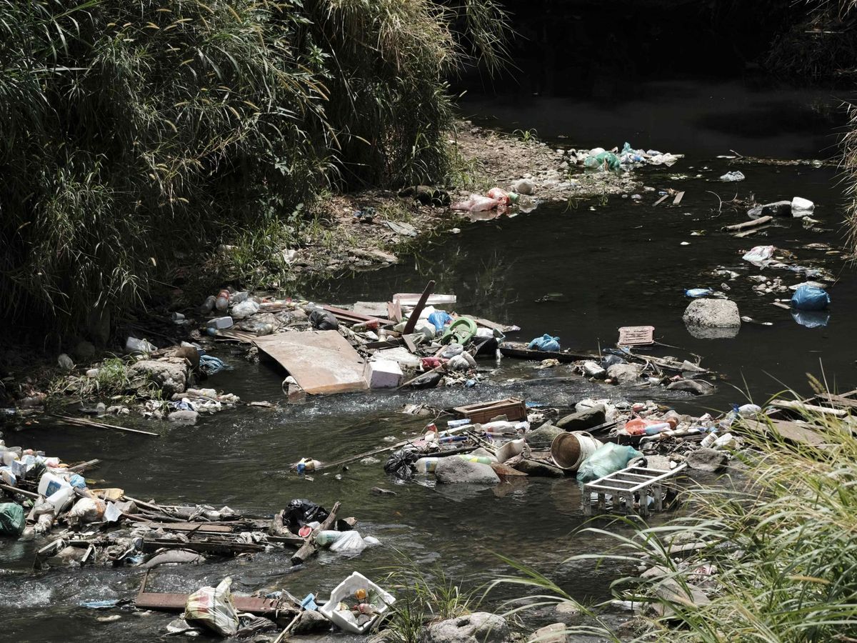 Foto: Residuos acumulados en un cauce fluvial (EFE)