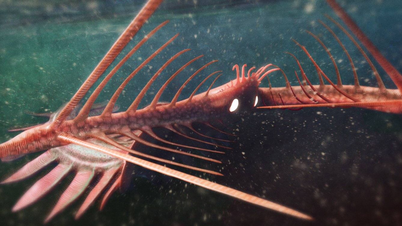 Foto: Omnides amplus, un asombroso y fiero depredador de hace más de 500 millones de años
