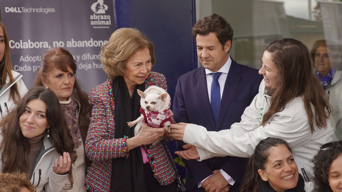 Amor perruno: las fotos más tiernas de la reina Sofía visitando una protectora de animales