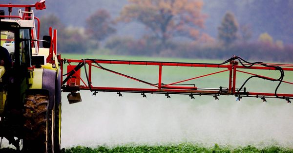 Foto: Aplicación de pesticidas en un campo de Alemania. (EFE)