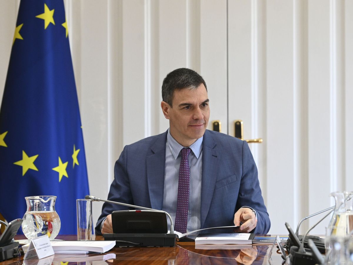 Foto: El presidente del Gobierno, Pedro Sánchez, este martes, preside la reunión del Consejo de Ministros. (EFE/Borja Puig de la Bellacasa)