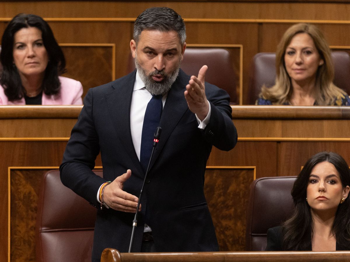 Foto: Santiago Abascal, en el Congreso de los Diputados. (EP/Eduardo Parra)