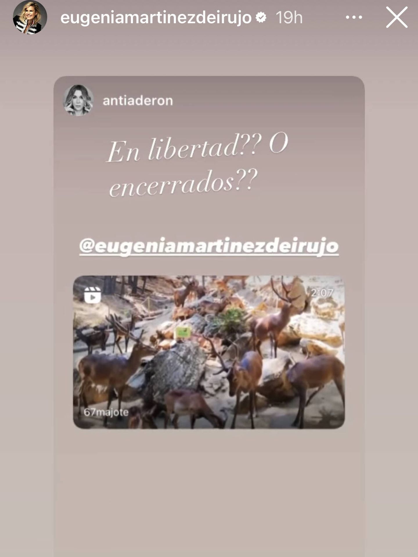 El vídeo que ha compartido por stories la duquesa. (Instagram/@eugeniamartinezdeirujo)