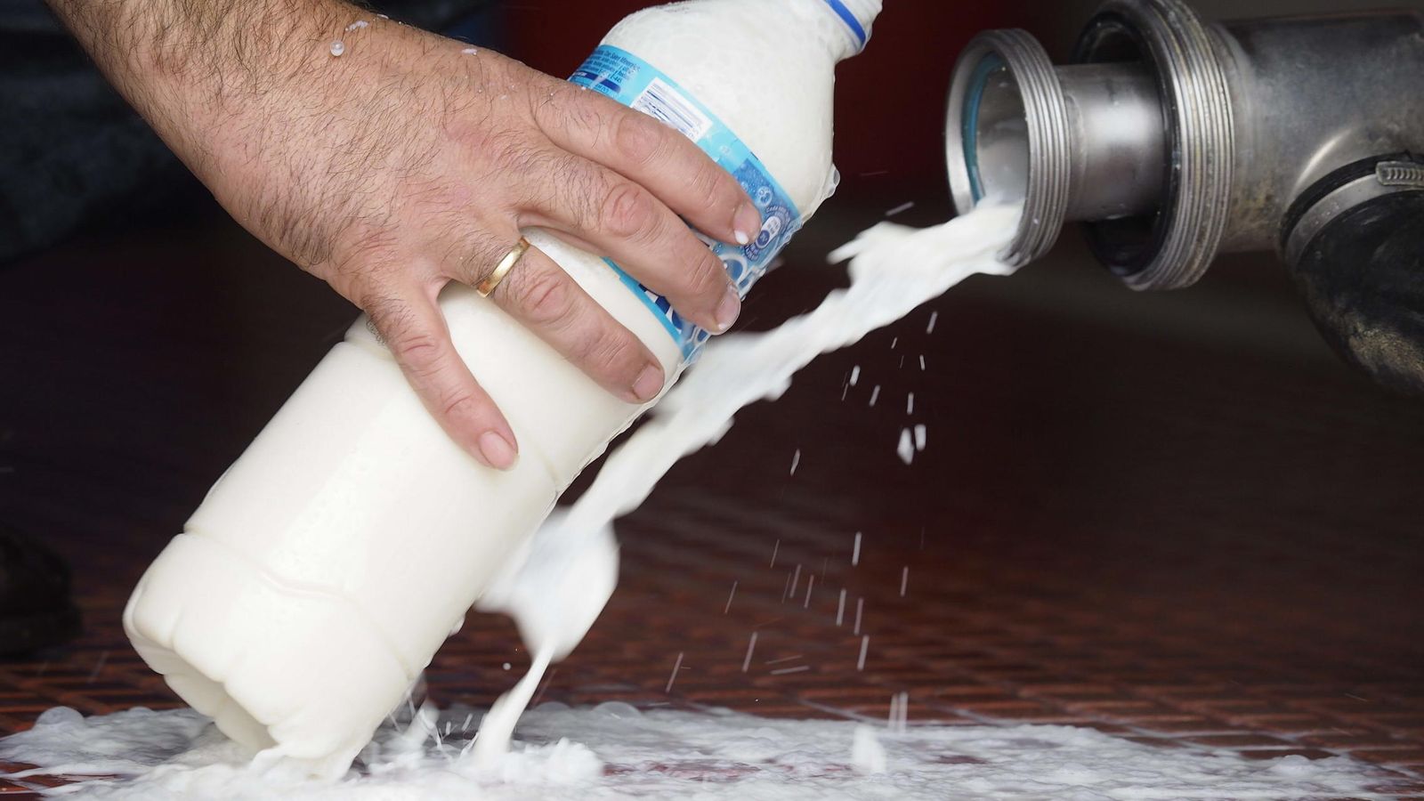 Foto: Ganaderos arrojan leche por no poder venderla por encima de precio de coste