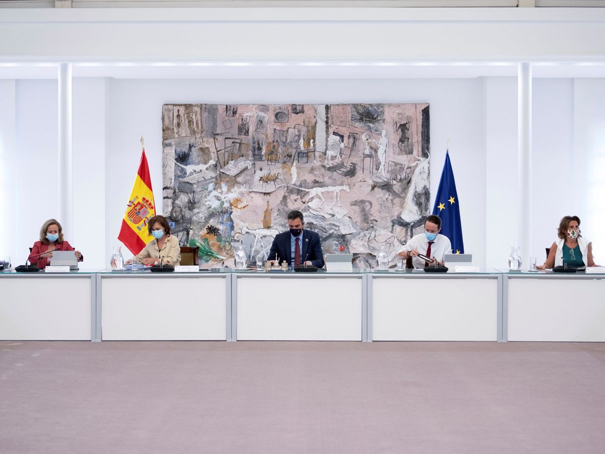 Foto: El presidente del Gobierno, Pedro Sánchez, preside el Consejo de Ministros. (EFE)